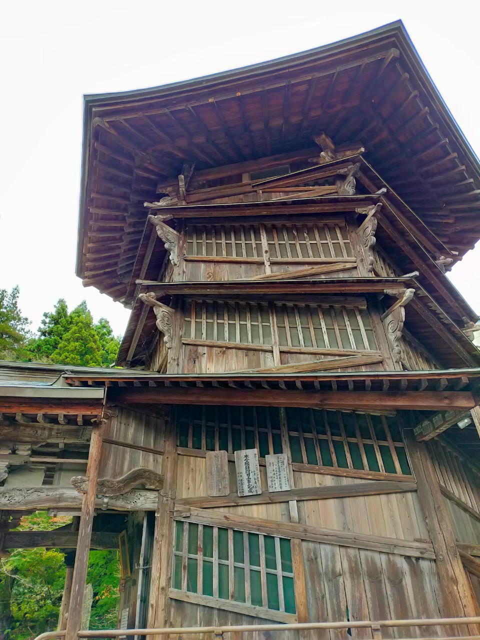 line_129958765887556