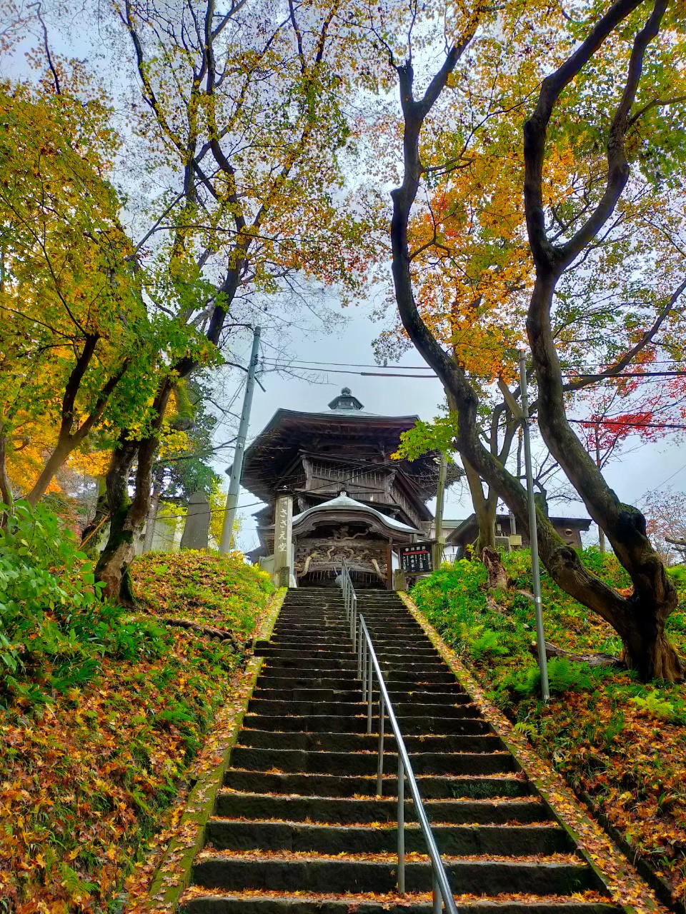 line_129970889764687