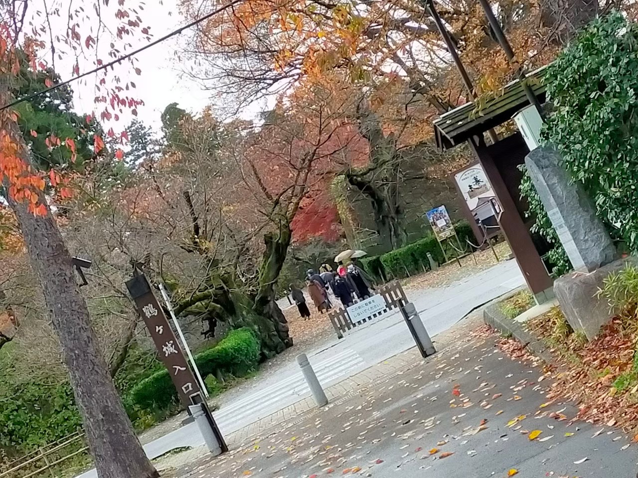 line_143269589717995